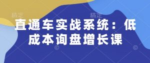 直通车实战系统:低成本询盘增长课,让个人通过技能实现升职加薪,让企业低成本获客,订单源源不断-灵动共创