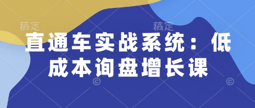 直通车实战系统：低成本询盘增长课，让个人通过技能实现升职加薪，让企业低成本获客，订单源源不断-灵动共创