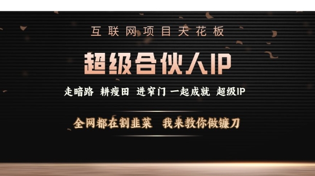 互联网项目天花板，超级合伙人IP，全网都在割韭菜，我来教你做镰刀【仅揭秘】-灵动共创