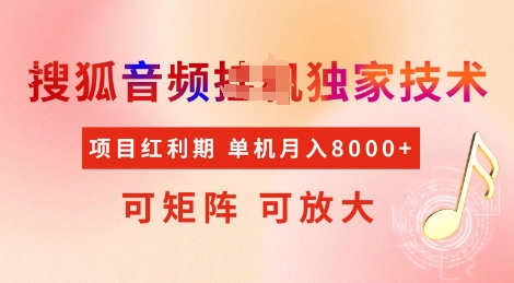 全网首发搜狐音频挂JI独家技术，项目红利期，可矩阵可放大，稳定月入8k【揭秘】-灵动共创