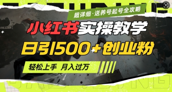 2月小红书最新日引500+创业粉实操教学【超详细】小白轻松上手，月入1W+，附小红书养号起号SOP-灵动共创