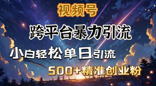 跨平台暴力引流，私域完美闭环，日引500+精准创业粉-灵动共创