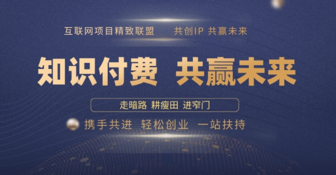 别人苦寻无果，为何他们靠知识付费卖项目 2025 年轻松年入100个?【揭秘】-灵动共创
