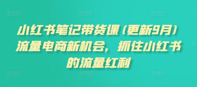 小红书笔记带货课(更新25年2月)流量电商新机会，抓住小红书的流量红利-灵动共创