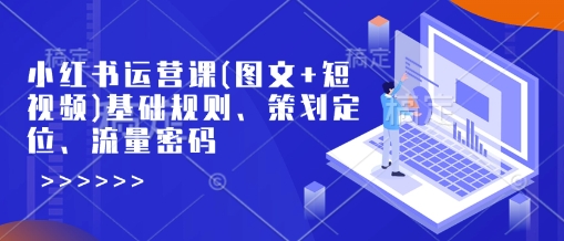 小红书运营课(图文+短视频)基础规则、策划定位、流量密码-灵动共创