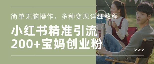 小红书混剪日引200+宝妈创业粉，简单无脑操作，多种变现详细教程-灵动共创