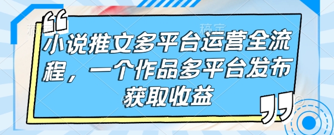 小说推文多平台运营全流程，一个作品多平台发布获取收益-灵动共创