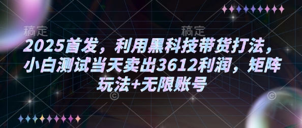 2025首发，利用黑科技带货打法，小白测试当天卖出3612利润，矩阵玩法+无限账号【揭秘】-灵动共创