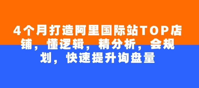 4个月打造阿里国际站TOP店铺，懂逻辑，精分析，会规划，快速提升询盘量-灵动共创
