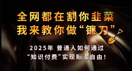 知识付费如何做到月入过W+，2025我来教你做“镰刀”【揭秘】-灵动共创