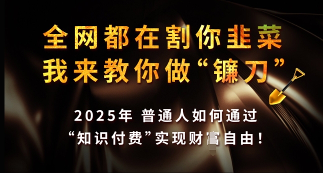 全网都在割你韭菜，我来教你做镰刀，2025年普通人如何通过 知识付费 实现财F自由【揭秘】-灵动共创