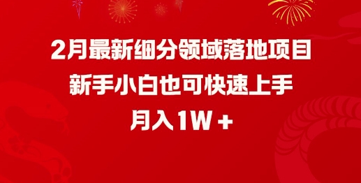 2月最新细分领域落地项目，新手小白也可快速上手，月入1W-灵动共创