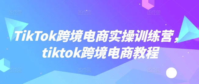 TikTok跨境电商实操训练营，tiktok跨境电商教程-灵动共创