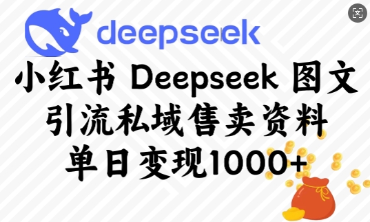 小红书Deepseek图文引流私域售卖资料，单日变现多张-灵动共创