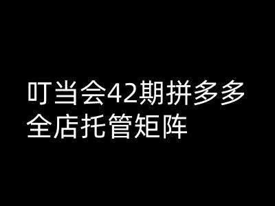 叮当会拼多多打爆班原创高阶技术第42期，拼多多全店托管矩阵-灵动共创