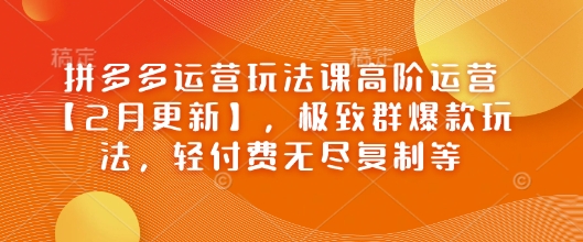 拼多多运营玩法课高阶运营【2月更新】，极致群爆款玩法，轻付费无尽复制等-灵动共创