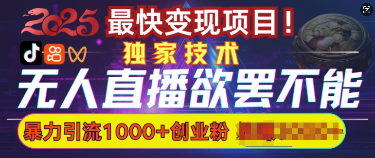 欲罢不能的无人直播引流，超暴力日引流1000+高质量精准创业粉-灵动共创