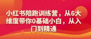 小红书陪跑训练营,从6大维度带你0基础小白,从入门到精通-灵动共创