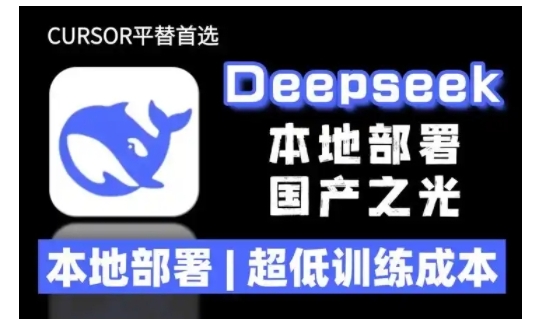 2025年deepseek R1 大型模型本地安装部署(文件+教程)本地部署，超低训练成本-灵动共创