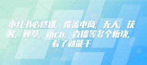 小红书必修课,覆盖电商,无人,获客,种草,mcn,直播等多个板块,看了就能干-灵动共创