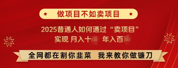 必看，做项目不如卖项目，2025普通人如何通过“卖项目”实现月入十个，年入百个-灵动共创