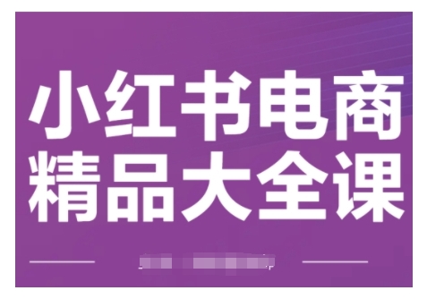 小红书电商精品大全课，快速掌握小红书运营技巧，实现精准引流与爆单目标，轻松玩转小红书电商-灵动共创