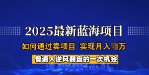 2025蓝海项目,普通人如何通过卖项目,实现月入过W,全过程【揭秘】-灵动共创