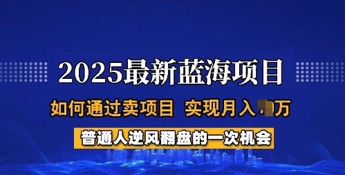 2025蓝海项目，普通人如何通过卖项目，实现月入过W，全过程【揭秘】-灵动共创